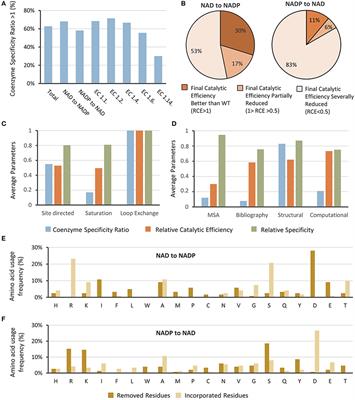 Protein Engineering for Nicotinamide Coenzyme Specificity in Oxidoreductases: Attempts and Challenges